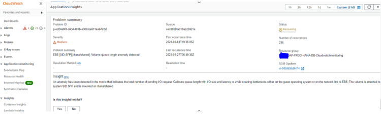 Problem Details